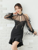 Andy/AN-ON2826/ワンピース/ミニドレス/キャバドレス/シアー/レース/ マーメイド/フリル/パールボタン/袖あり/長袖