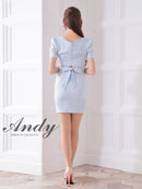 Andy/AN-ON2846/ワンピース/ミニドレス/キャバドレス/フロントジップ/袖あり/半袖/リボン/タイト