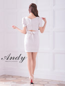 Andy/AN-ON2846/ワンピース/ミニドレス/キャバドレス/フロントジップ/袖あり/半袖/リボン/タイト