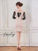 Andy/AN-ON2884/ワンピース/ミニドレス/キャバドレス/レース/袖あり/オフショル風/リボン/ベルトデザイン/切替/アシンメトリー/タイト