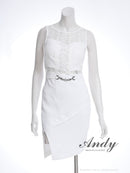 Andy/AN-ON2890/ミニドレス/キャバドレス/レース/タイト/スリット/クルーネック/ベルト風