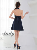 Andy/AN-ON2908/ワンピース/ミニドレス/キャバドレス/ホルターネック/バスト切り替え/フロントジップ/ハイネック/ビジュー/リボン/フレア