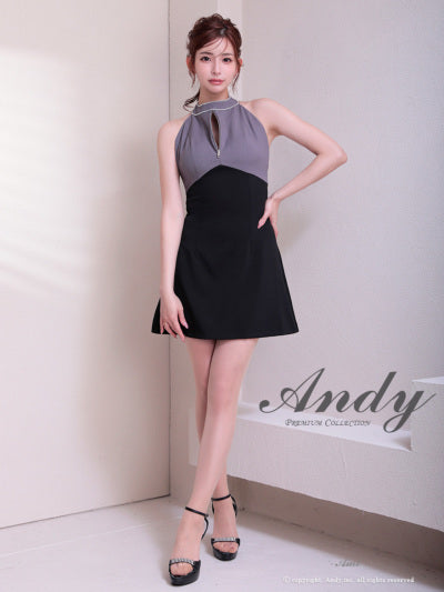 Andy/AN-ON2908/ワンピース/ミニドレス/キャバドレス/ホルターネック/バスト切り替え/フロントジップ/ハイネック/ビジュー/リボン/フレア