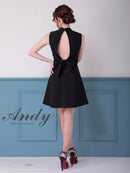 Andy/AN-ON2913/ワンピース/キャバドレス/ミニドレス/ハイネック/フロントジップ/ウエストシアー/バックリボン/ノースリーブ/フレア