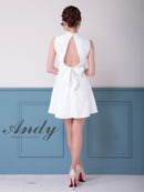 Andy/AN-ON2913/ワンピース/キャバドレス/ミニドレス/ハイネック/フロントジップ/ウエストシアー/バックリボン/ノースリーブ/フレア