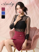 Andy/AN-ON2991/ワンピース/ミニドレス/キャバドレス/シアー/レース/切替/タイトスリーブ/五分袖/袖あり/ダブルボタン/ボックスプリーツ/フレア