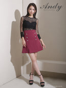 Andy/AN-ON2991/ワンピース/ミニドレス/キャバドレス/シアー/レース/切替/タイトスリーブ/五分袖/袖あり/ダブルボタン/ボックスプリーツ/フレア