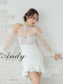 Andy/AN-ON3059/ワンピース/ミニドレス/キャバドレス/シアー/レース/パフスリーブ/ストレッチ/シースルー/バストカット/マーメイド/袖あり/アメスリ/長袖