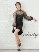 Andy/AN-ON3059/ワンピース/ミニドレス/キャバドレス/シアー/レース/パフスリーブ/ストレッチ/シースルー/バストカット/マーメイド/袖あり/アメスリ/長袖
