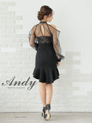 Andy/AN-ON3059/ワンピース/ミニドレス/キャバドレス/シアー/レース/パフスリーブ/ストレッチ/シースルー/バストカット/マーメイド/袖あり/アメスリ/長袖