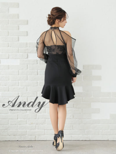 Andy/AN-ON3059/ワンピース/ミニドレス/キャバドレス/シアー/レース/パフスリーブ/ストレッチ/シースルー/バストカット/マーメイド/袖あり/アメスリ/長袖