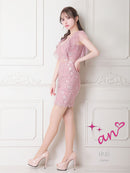 an/AOC-3560/ワンピース/タイトワンピース/総レース/袖あり