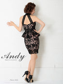 Andy|AN-OK2399/ワンピース/ミニドレス/総レース/ホルターネック