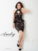 Andy|AN-OK2399/ワンピース/ミニドレス/総レース/ホルターネック