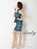 Andy|AN-OK2399/ワンピース/ミニドレス/総レース/ホルターネック
