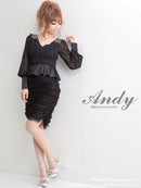 AN-BK154/トップス/フリル/袖あり/シースルー