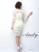 AN-OK1726/Andy/ナイトドレス/キャバドレス/ドレス/ワンピース/ミニ/パーティドレス