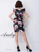 Andy/AN-OK1954/ナイトドレス/キャバドレス/ドレス/ワンピース/ミニ/パーティドレス