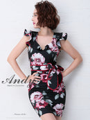 Andy/AN-OK1954/ナイトドレス/キャバドレス/ドレス/ワンピース/ミニ/パーティドレス