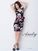 Andy/AN-OK1954/ナイトドレス/キャバドレス/ドレス/ワンピース/ミニ/パーティドレス
