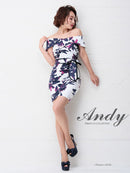 AN-OK1959/Andy/ナイトドレス/キャバドレス/ドレス/ワンピース/ミニ/パーティドレス