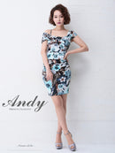 AN-OK1967/Andy/ナイトドレス/キャバドレス/ドレス/ワンピース/ミニ/パーティドレス