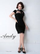 [ワンピースドレス]Andy|AN-OK2082
