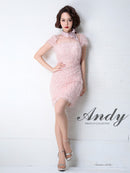 [ワンピースドレス]Andy|AN-OK2082