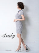 [ワンピースドレス]Andy|AN-OK2082