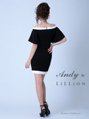 Andy|ANR-OK1597/ワンピース/ミニドレス/タイトドレス/ツーカラー