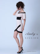 Andy|ANR-OK1597/ワンピース/ミニドレス/タイトドレス/ツーカラー