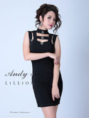 Andy/アンディ/ナイトドレス/キャバドレス/ドレス/ミニドレス/ワンピース/ANR-OK1601