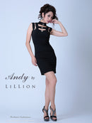 Andy/アンディ/ナイトドレス/キャバドレス/ドレス/ミニドレス/ワンピース/ANR-OK1601